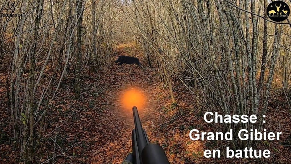 Vidéo - Chassez en compagnie d'Alexis Hunting, expert en la matière