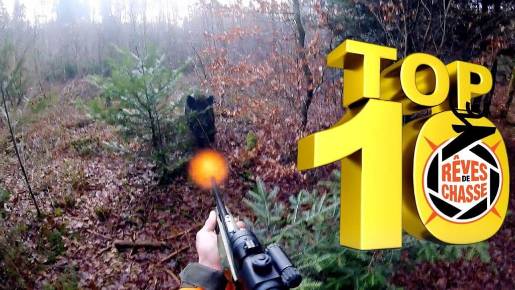 Vidéos de chasse impressionnantes - Regardez des moments forts de chasse en un seul endroit